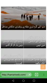 Pak Browser capture 1