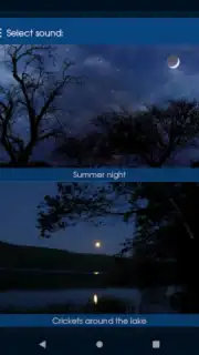 Расслабьтесь ночь capture 15