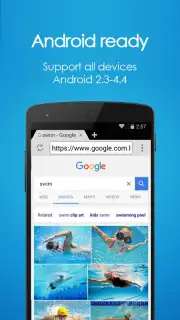 4G-браузер capture 7