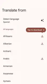 Google Translate capture 9