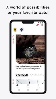 CASIO WATCHES capture 2