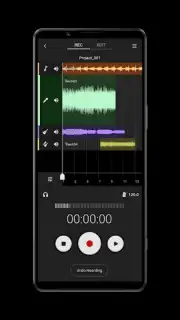 Sony Music Pro capture 6