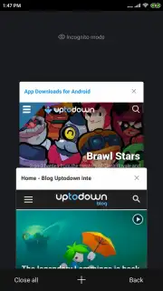 Mint Browser capture 5
