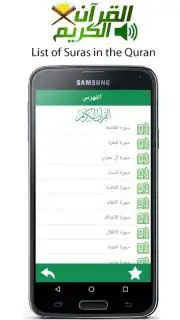 Audio Quran capture 3