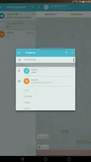 THE MESSENGER capture 1