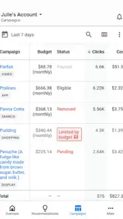 Google Ads capture 2