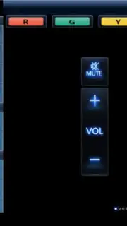 TV Remote 2 capture 6