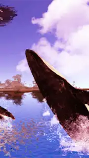 The Humpback Whales capture 5