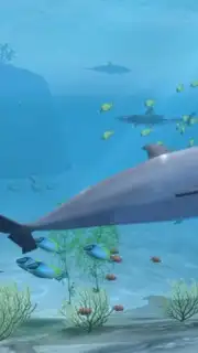 Sharks VR capture 1