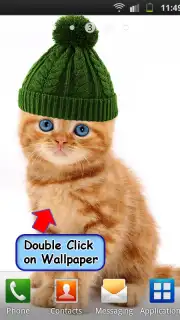 Talking, Dancing Cat. capture 9