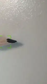 Camera HD capture 4
