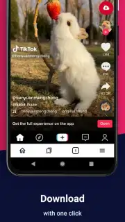 Video Downloader capture 1