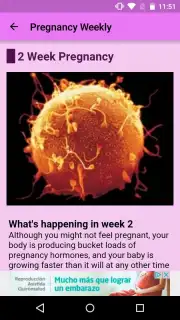 Pregnancy Weekly capture 3