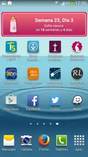 Semanas Embarazo capture 4