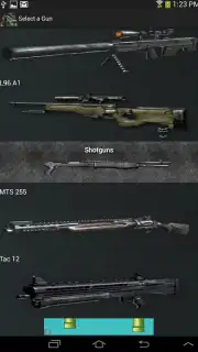 Gun Camera capture 3