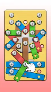 Screw Master: Pin Puzzle capture 1