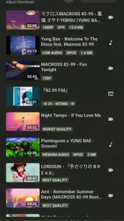 YTDLnis capture 5