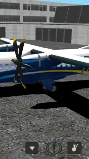 Flight Simulator capture 10