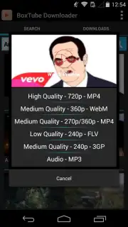 BoxTube Downloader capture 3