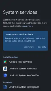 Google Mobile Services (GMS) capture 4