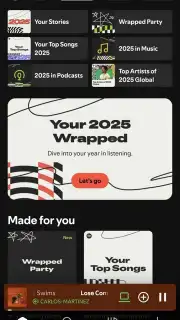 Spotify capture 1