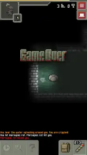 Remixed Pixel Dungeon capture 6