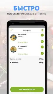 Авокадо capture 1