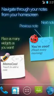MemoCool capture 2