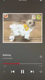 Nintendo Music capture 6
