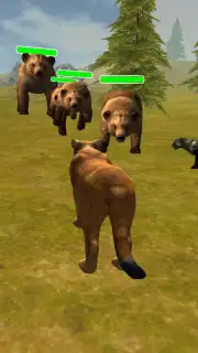 Puma Survival capture 3