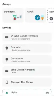 Amazon Alexa capture 7
