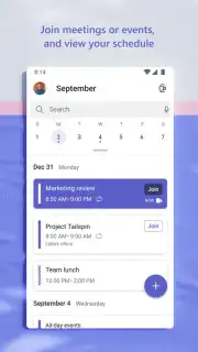Microsoft Teams capture 7