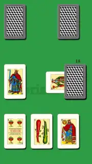 Brisca capture 4