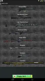 Gun Camera capture 13