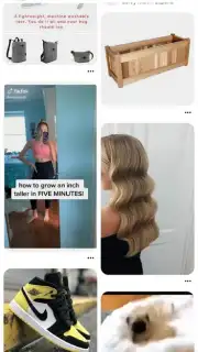 Pinterest capture 4