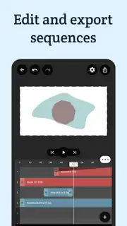 VectorMotion capture 3