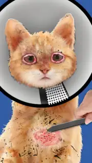 Cat ASMR: Salon Makeover capture 3