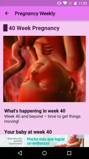 Pregnancy Weekly capture 5