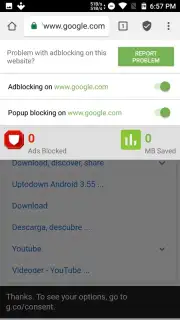 Free Adblocker Browser capture 3
