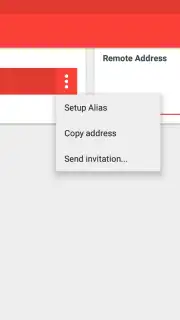 AnyDesk capture 1