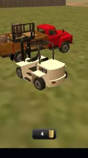 Truck Driver 3D capture 5