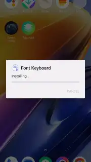 Package installer Google capture 3