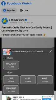Stellar Browser capture 2