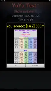 Yo-Yo Test capture 10