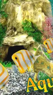 AquaLife 3D capture 4