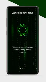 Money Miner capture 2