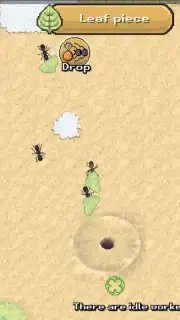 Pocket Ants capture 9