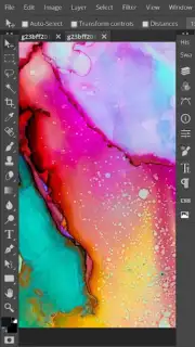 Photopea capture 5