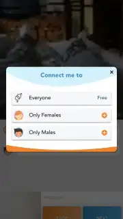 Camsurf capture 3