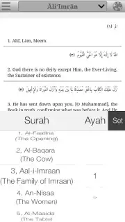 Quran Project capture 6